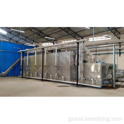 Fruit Drying Machine Fruit continuous drying machine mesh belt dryer Factory